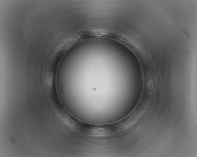 X0000112360315200908131501