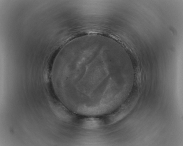 X0000112360316200908131501