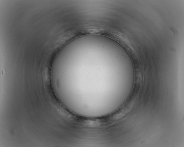 X0000112360317200908131501