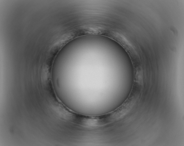X0000112360318200908131501