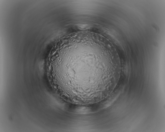 X0000112360319200908131501