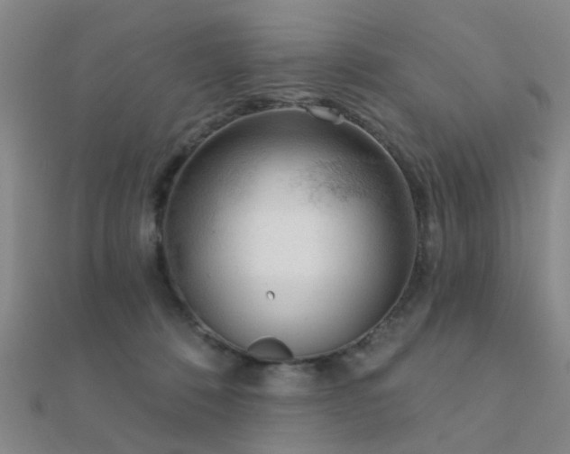 X0000112360320200908131501