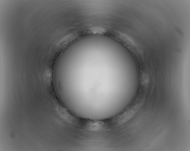 X0000112360321200908131501