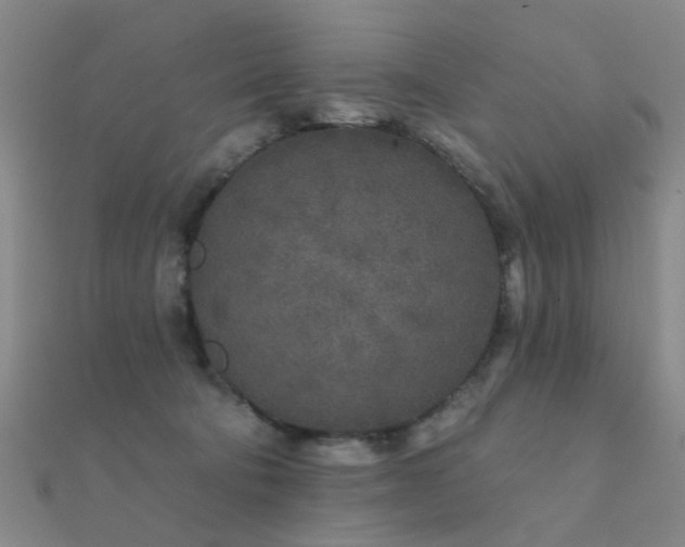 X0000112360322200908131501
