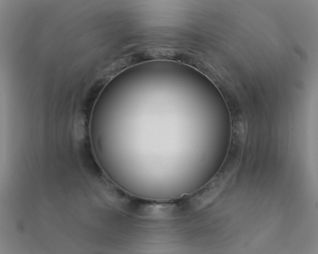 X0000112360323200908131501