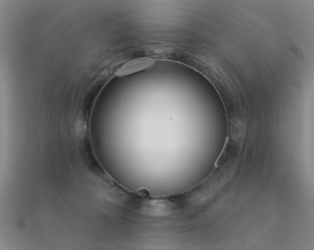 X0000112360324200908131501