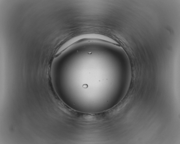 X0000112360325200908131501