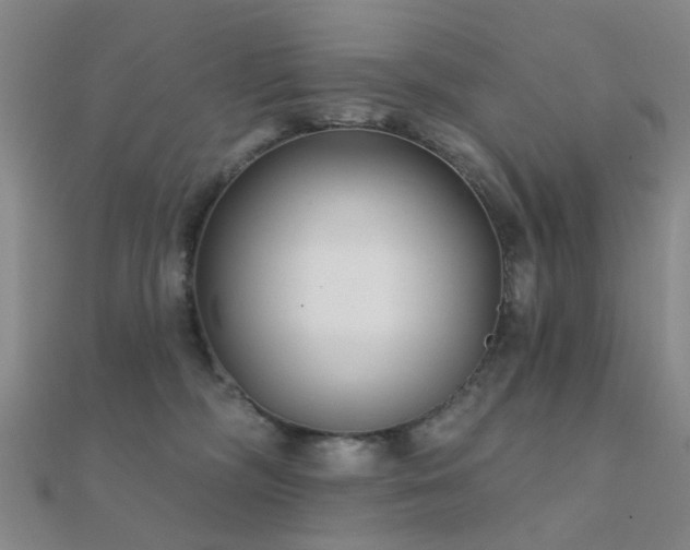 X0000112360326200908131501