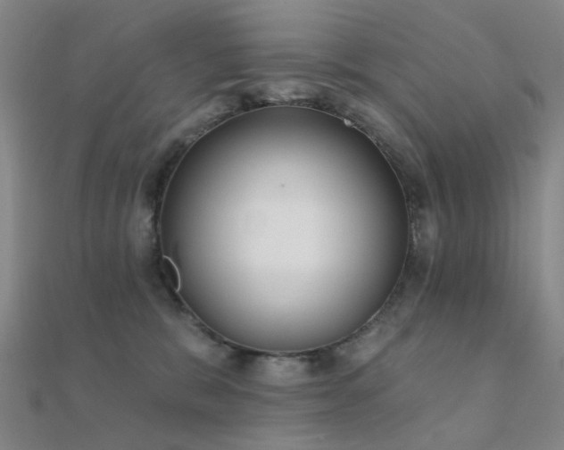 X0000112360327200908131501