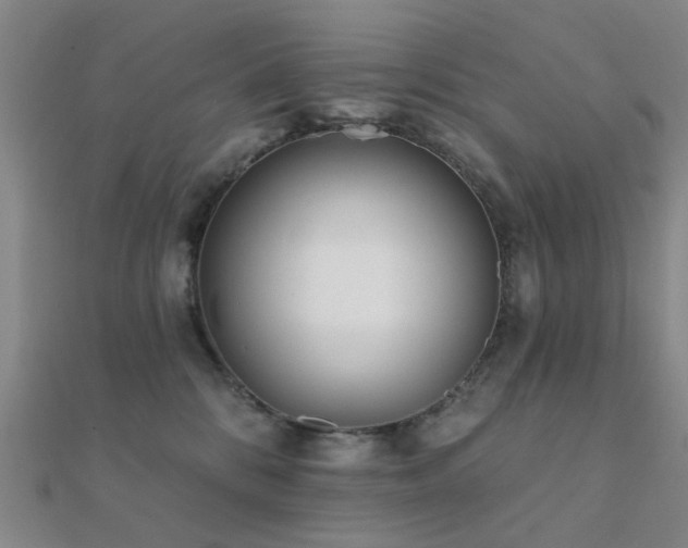 X0000112360328200908131501