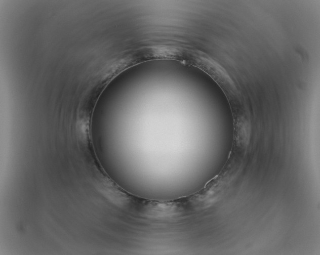 X0000112360329200908131501