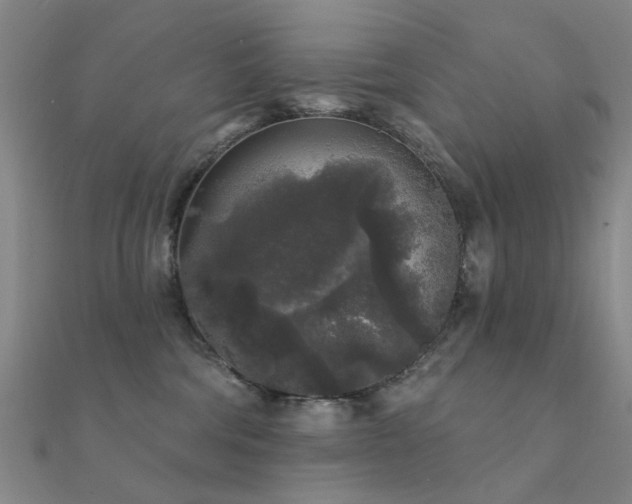 X0000112360330200908131501