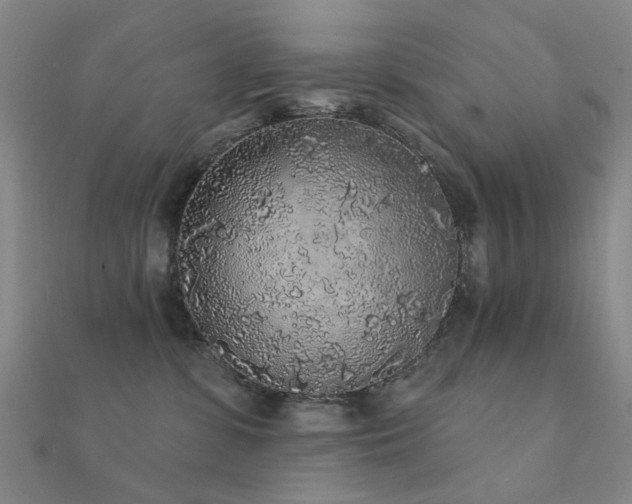 X0000112360331200908131501