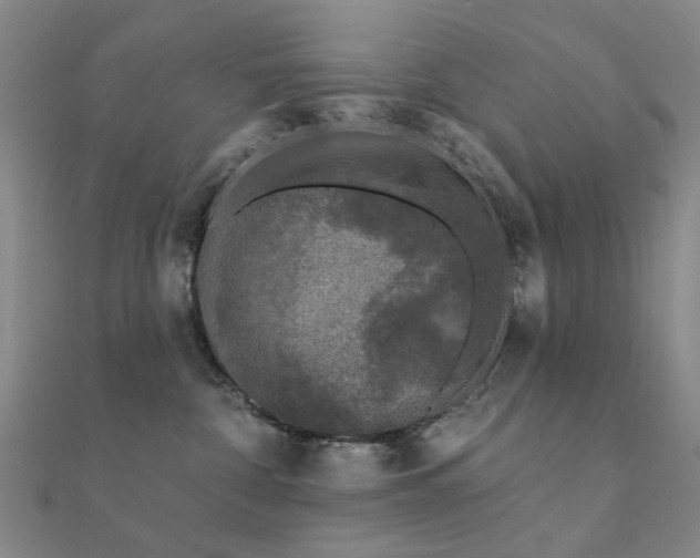 X0000112360332200908131501