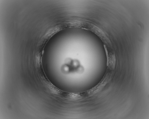 X0000112360333200908131501