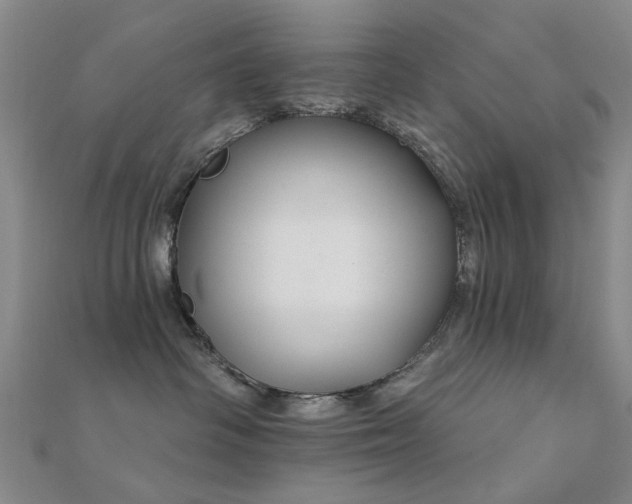 X0000112360334200908131501
