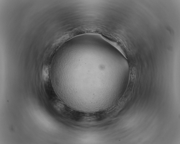 X0000112360335200908131501