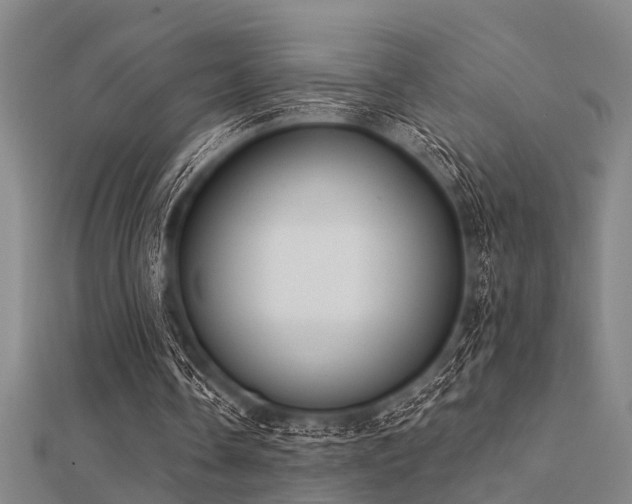 X0000112360338200908131500