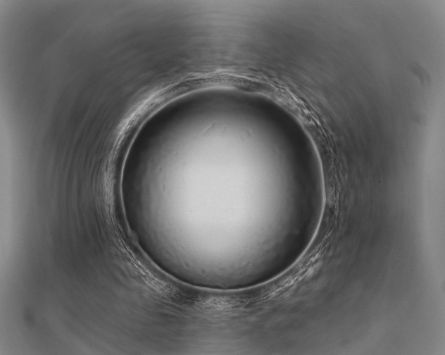 X0000112360341200908131500