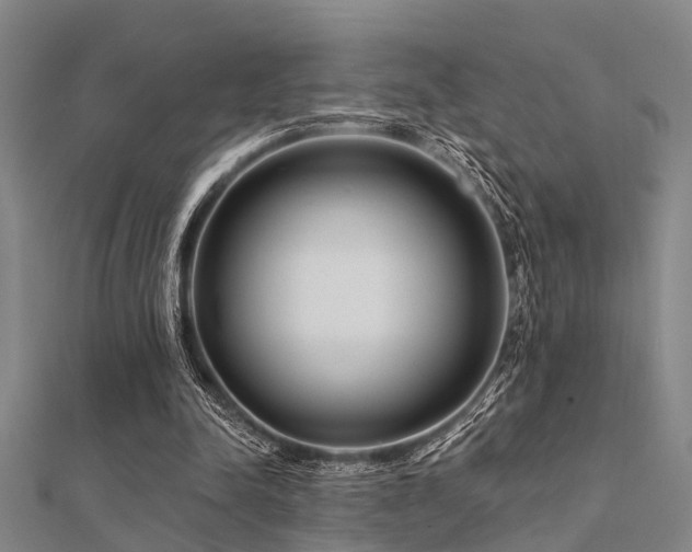 X0000112360342200908131500