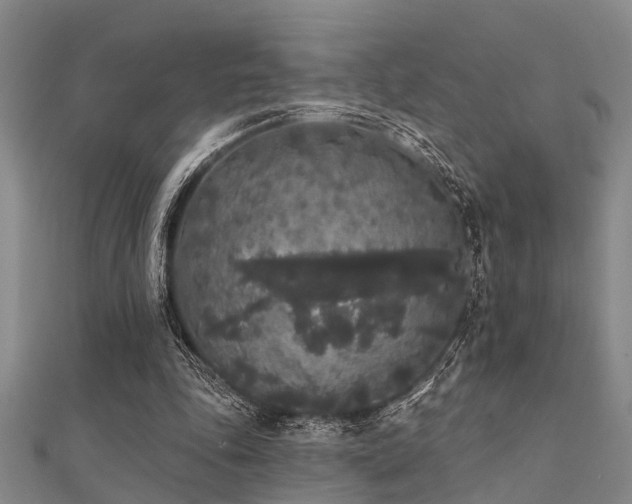 X0000112360343200908131500