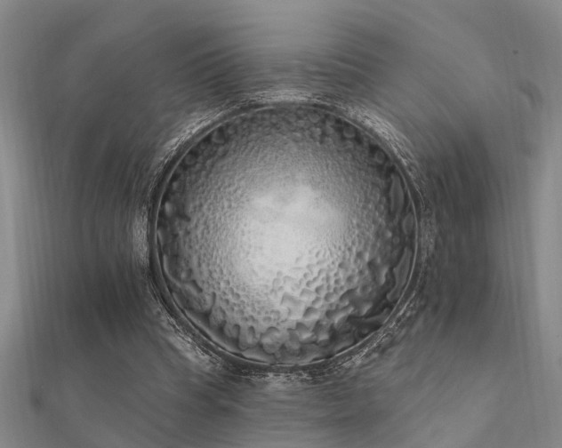 X0000112360345200908131501