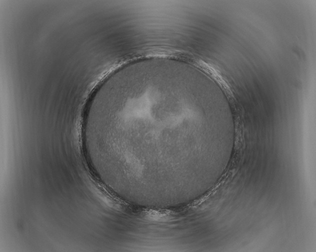 X0000112360346200908131501