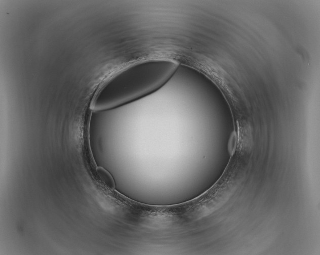 X0000112360348200908131501