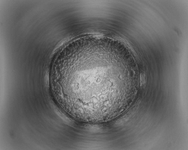 X0000112360349200908131501