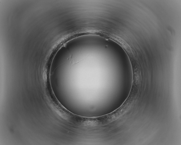 X0000112360350200908131501