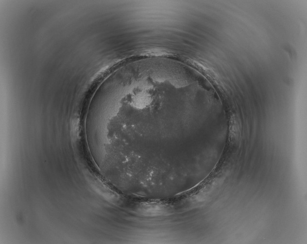 X0000112360351200908131501