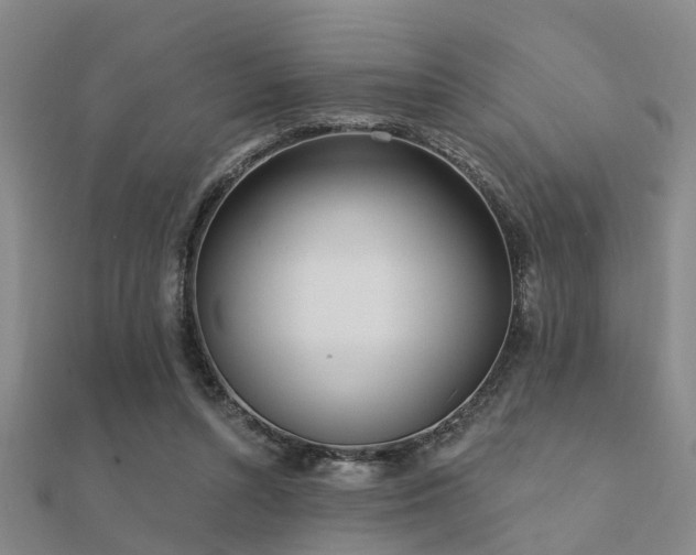 X0000112360352200908131501