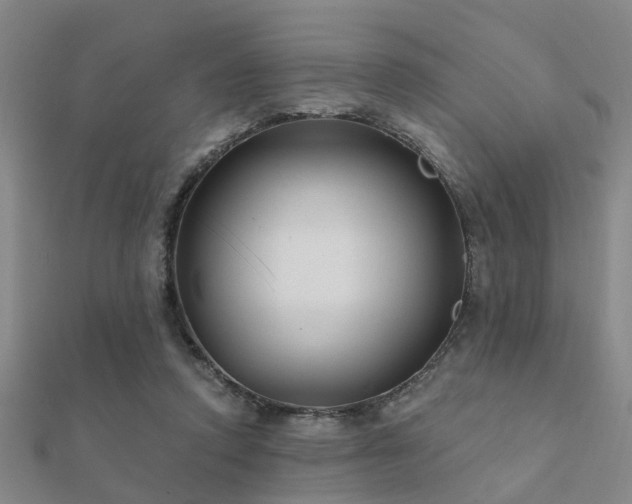 X0000112360354200908131501