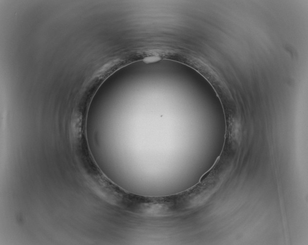X0000112360356200908131501