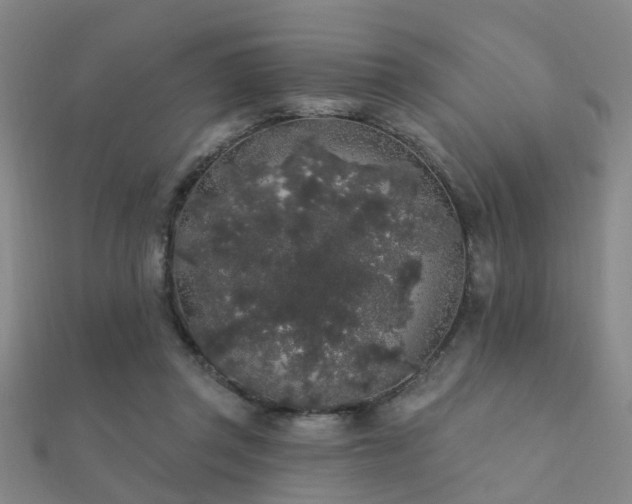 X0000112360357200908131501