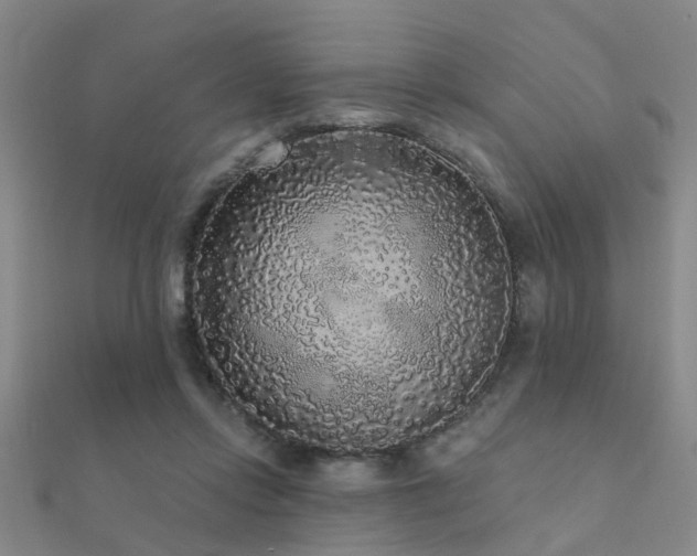 X0000112360358200908131501
