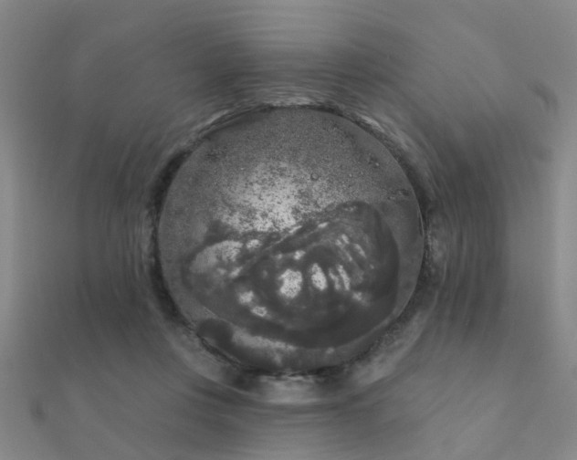 X0000112360359200908131501