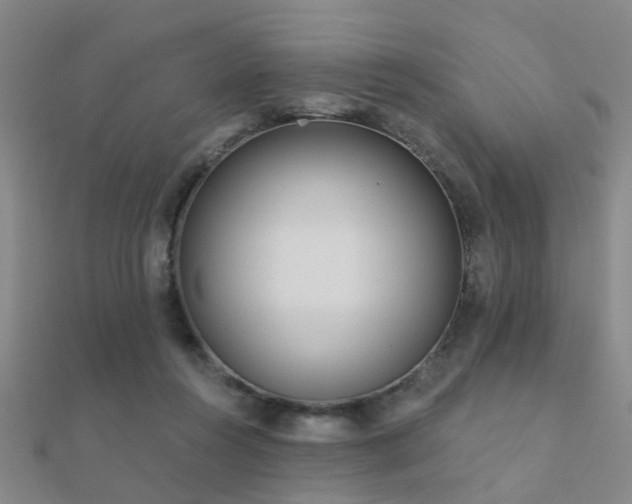 X0000112360360200908131501