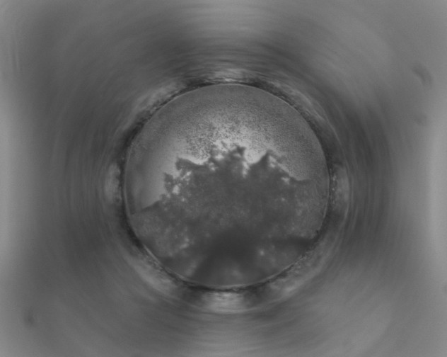 X0000112360361200908131501