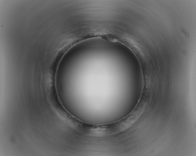X0000112360362200908131501