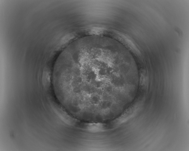X0000112360363200908131501