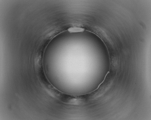 X0000112360364200908131501