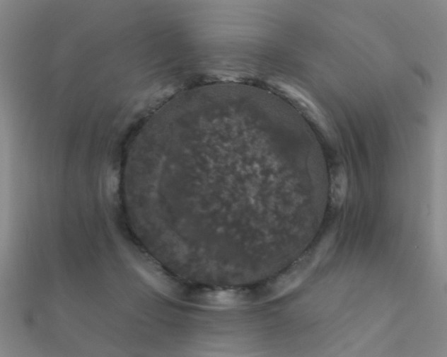 X0000112360365200908131501