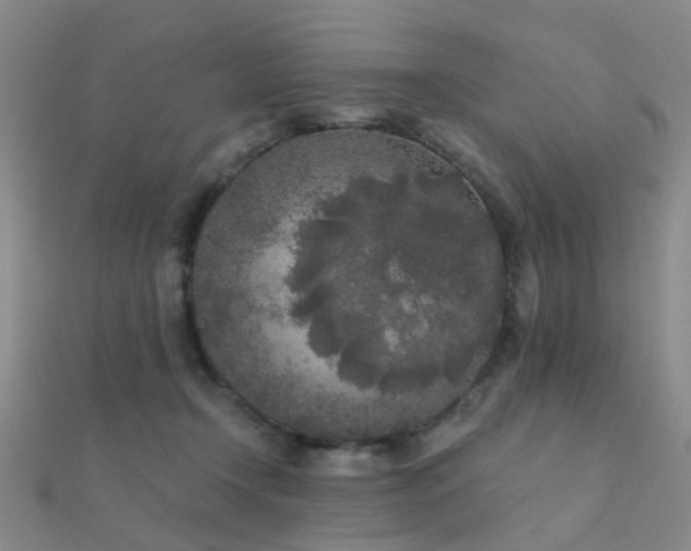 X0000112360366200908131501