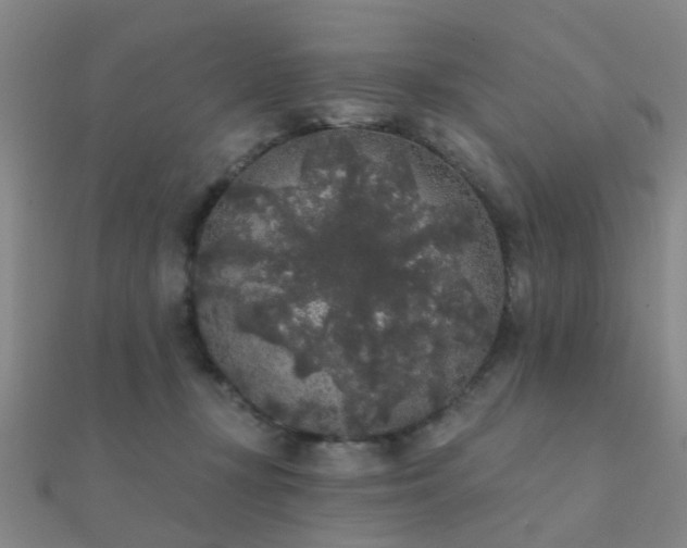 X0000112360367200908131501
