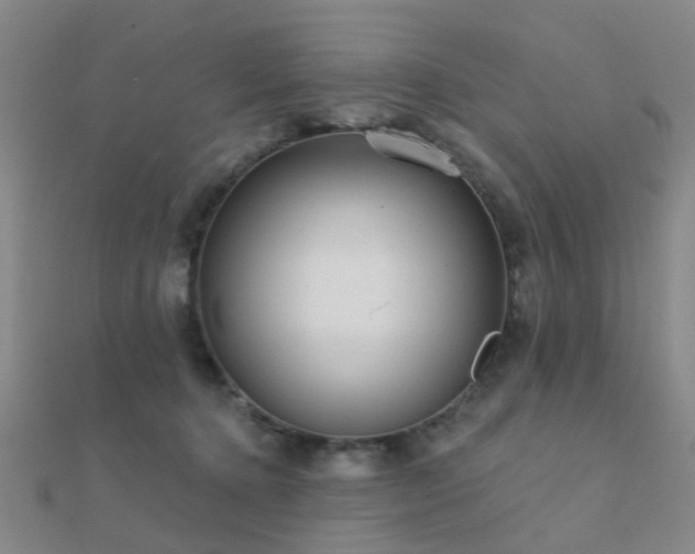 X0000112360368200908131501