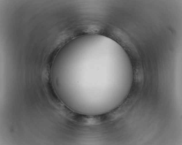 X0000112360370200908131501