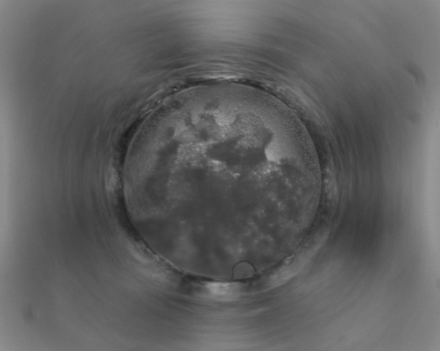 X0000112360371200908131501