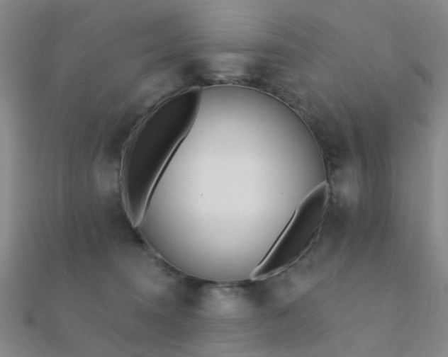 X0000112360372200908131501