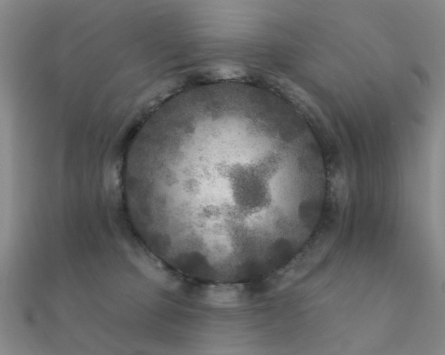 X0000112360373200908131501